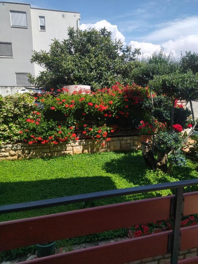 Zelena Oaza Apartment Новиград Екстериор снимка