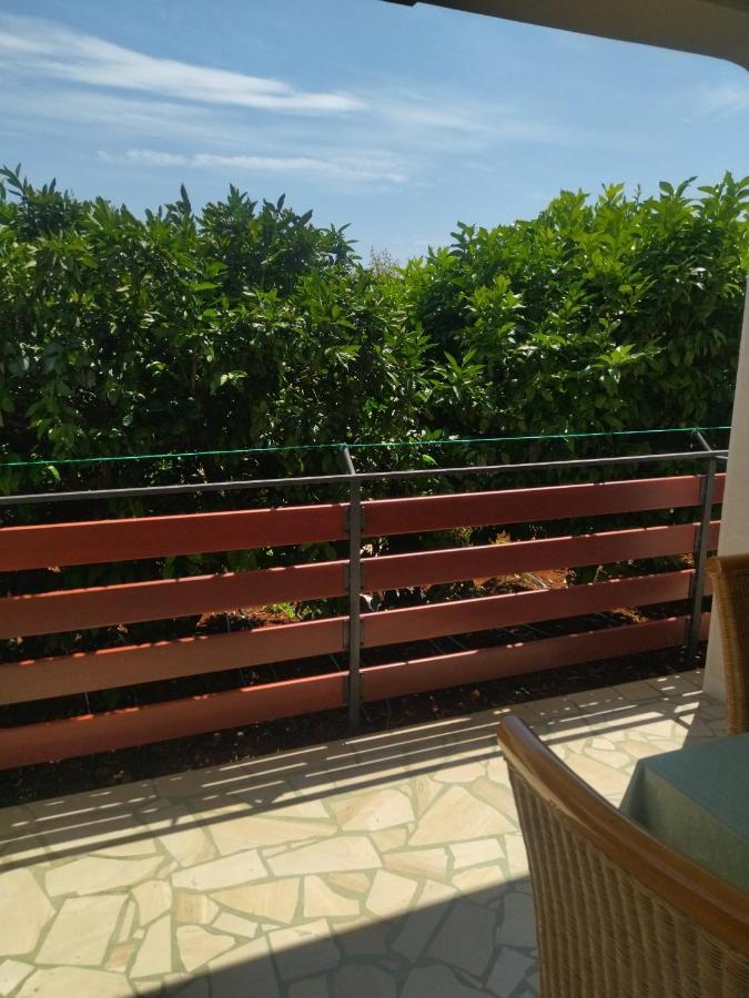 Zelena Oaza Apartment Новиград Екстериор снимка