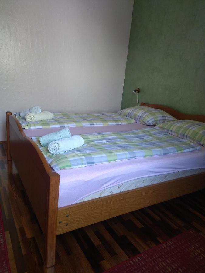 Zelena Oaza Apartment Новиград Екстериор снимка