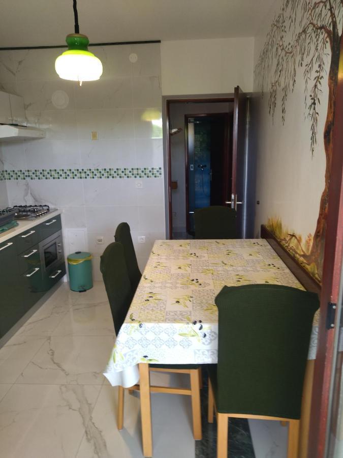 Zelena Oaza Apartment Новиград Екстериор снимка