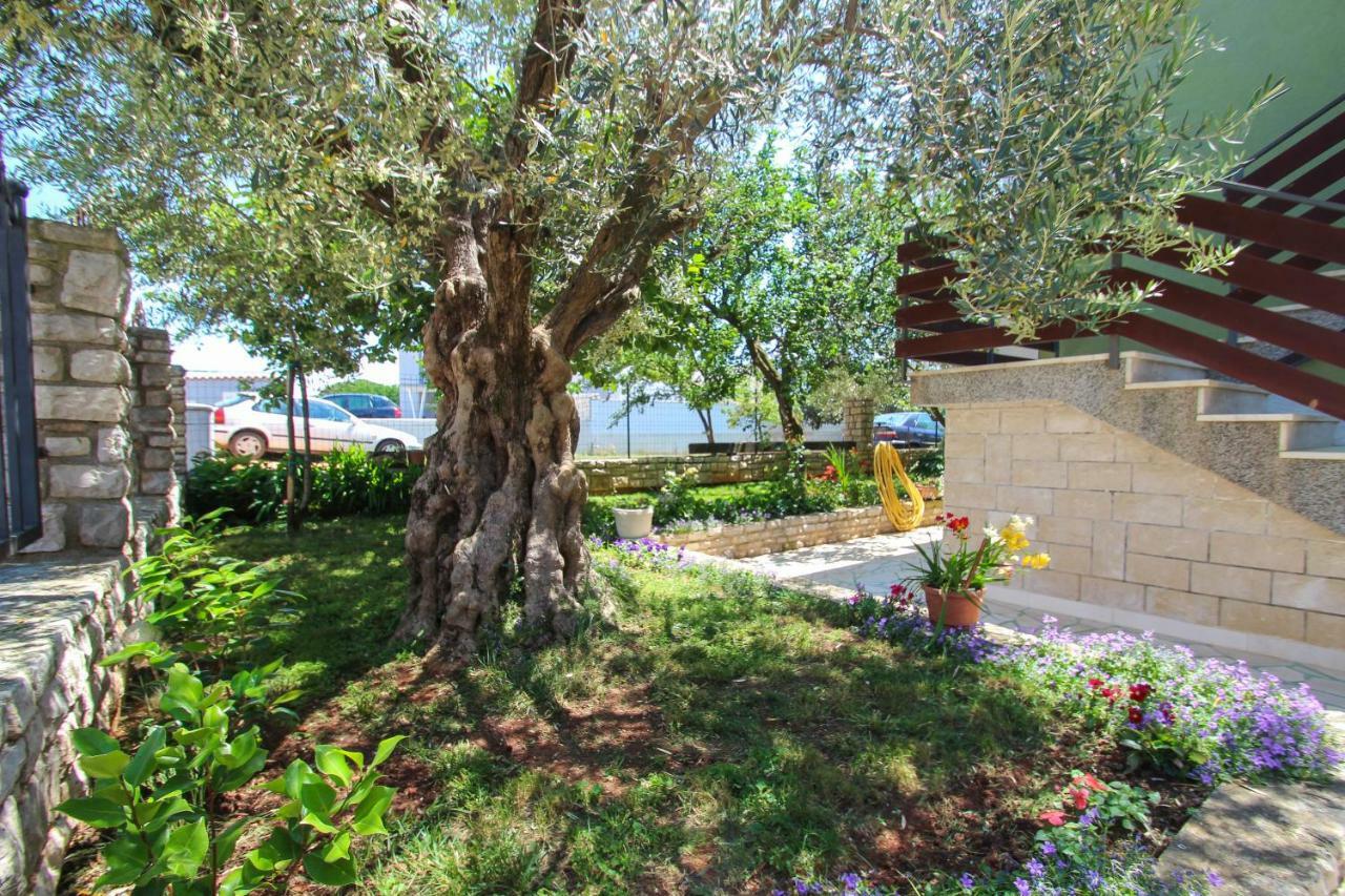 Zelena Oaza Apartment Новиград Екстериор снимка